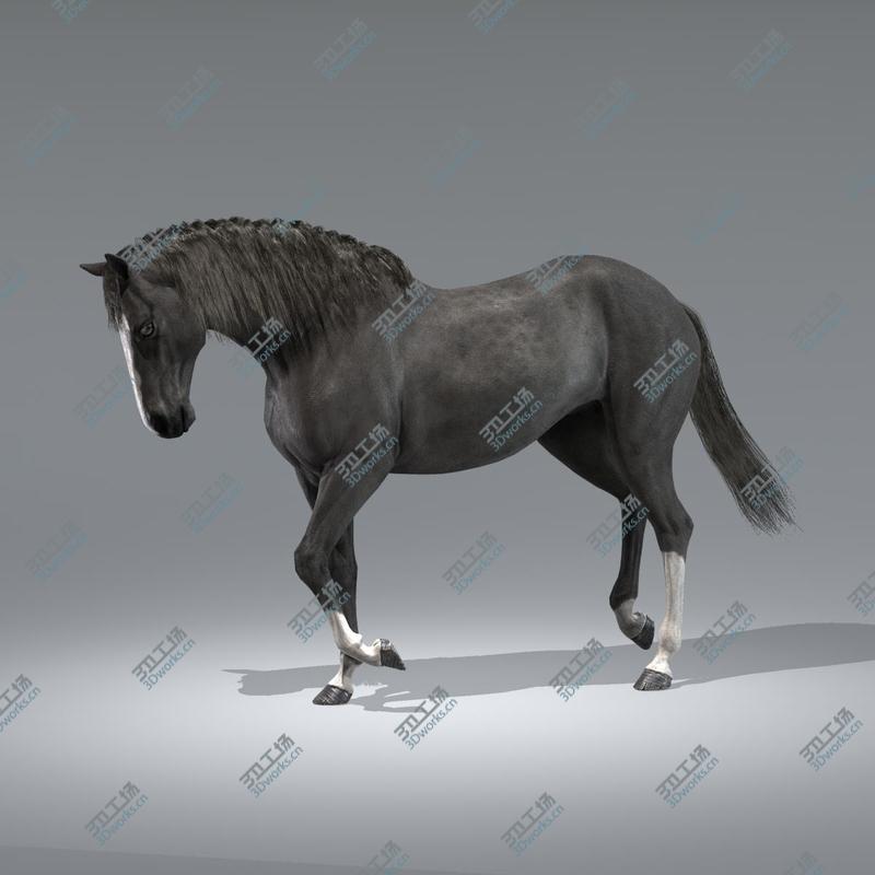images/goods_img/20210313/3D Horses (Rigged) model/3.jpg